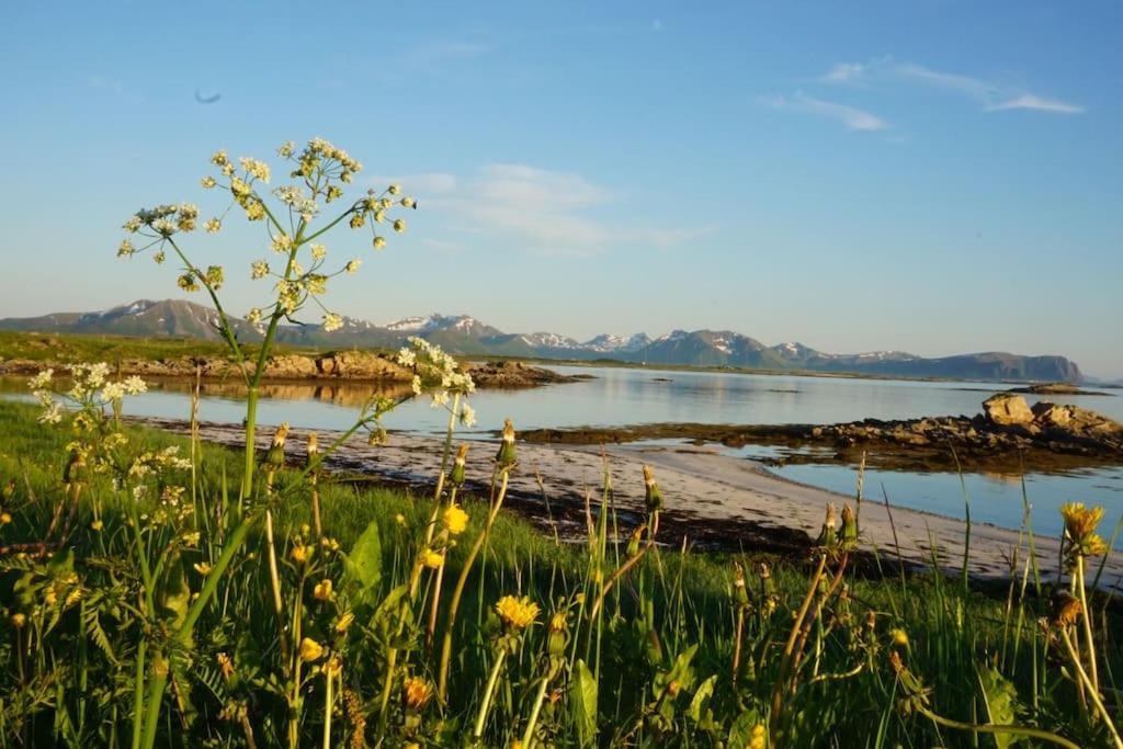 Sjarmerende Hus Med Orkesterplass Til Hav Og Fjell Stave 外观 照片