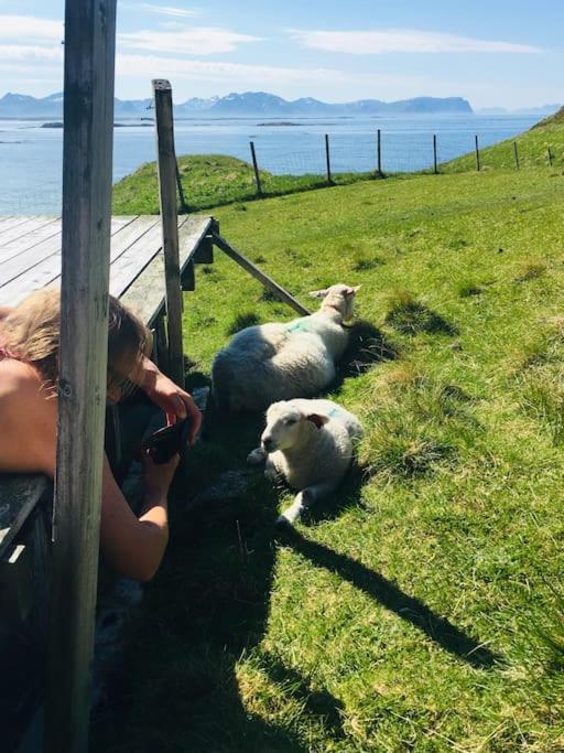 Sjarmerende Hus Med Orkesterplass Til Hav Og Fjell Stave 外观 照片