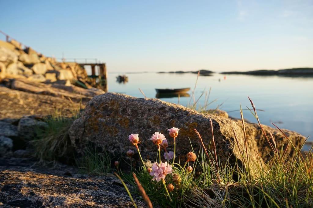 Sjarmerende Hus Med Orkesterplass Til Hav Og Fjell Stave 外观 照片
